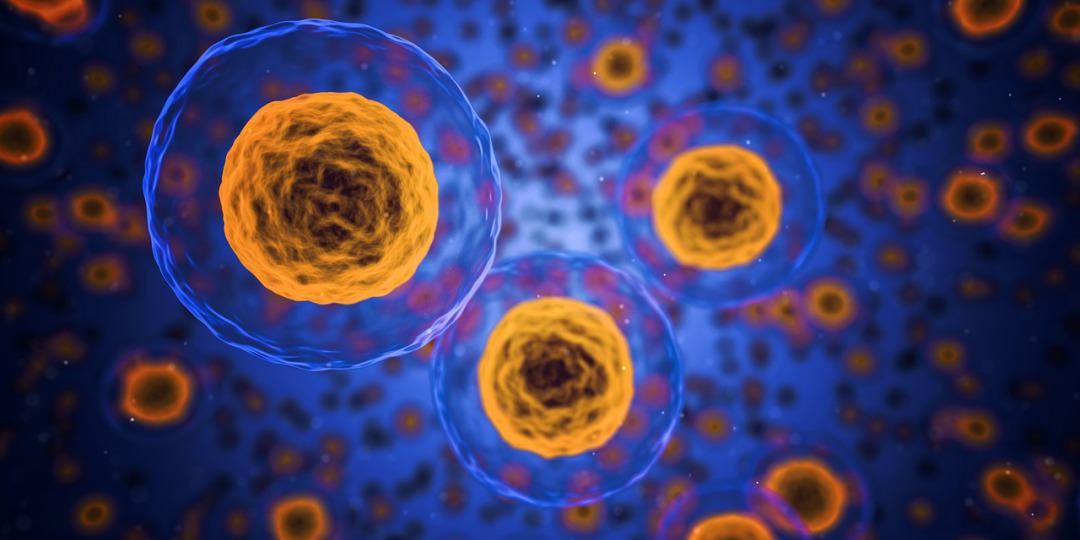 マットレスにカビが生えた時の対処法と予防法|健康被害や買い替え判断も解説