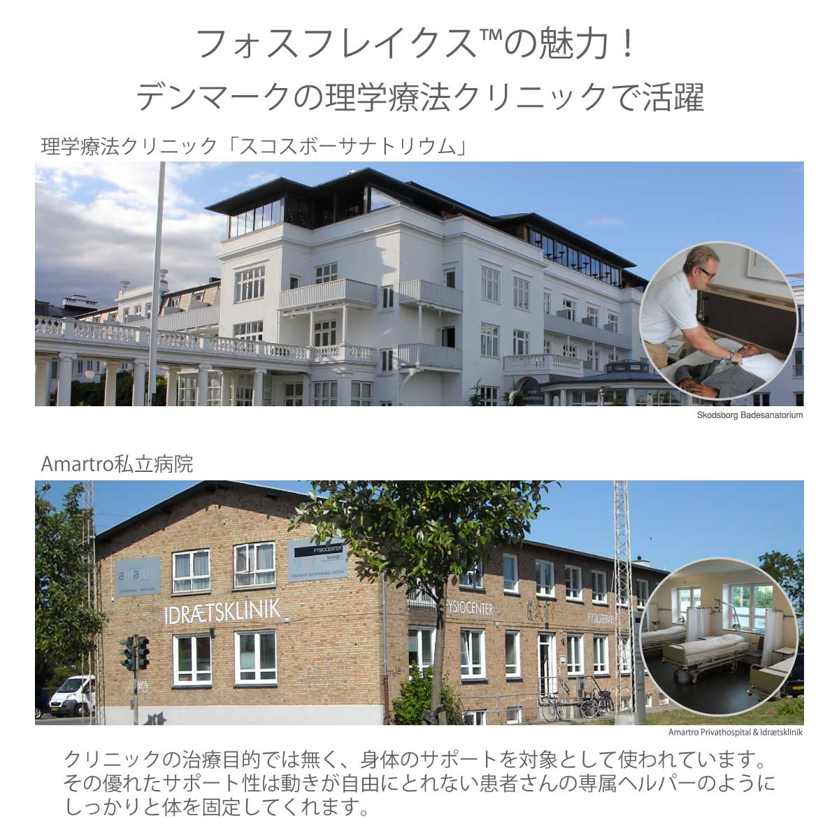 ロイヤーレ ハーフボディピロー - 画像6