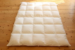 Chinese-goose-down-comforter-for-autumn1