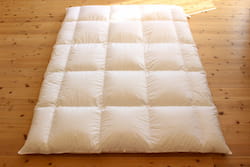 Polish-mother-goose-sticky-down-comforter-for-winter1