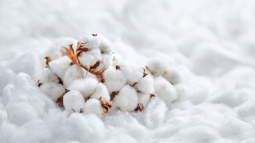 綿の敷きパッドが快適な睡眠を支える理由｜綿100%が良いの？疑問を解決