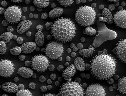 花粉が布団に？！目の痒み、鼻づまりと共に目覚める方必見の３ステップ対策