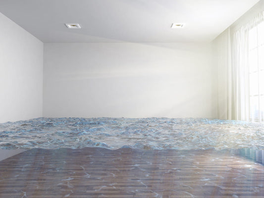 除湿シート(除湿マット)がマットレスや布団の下に必須な理由を解説