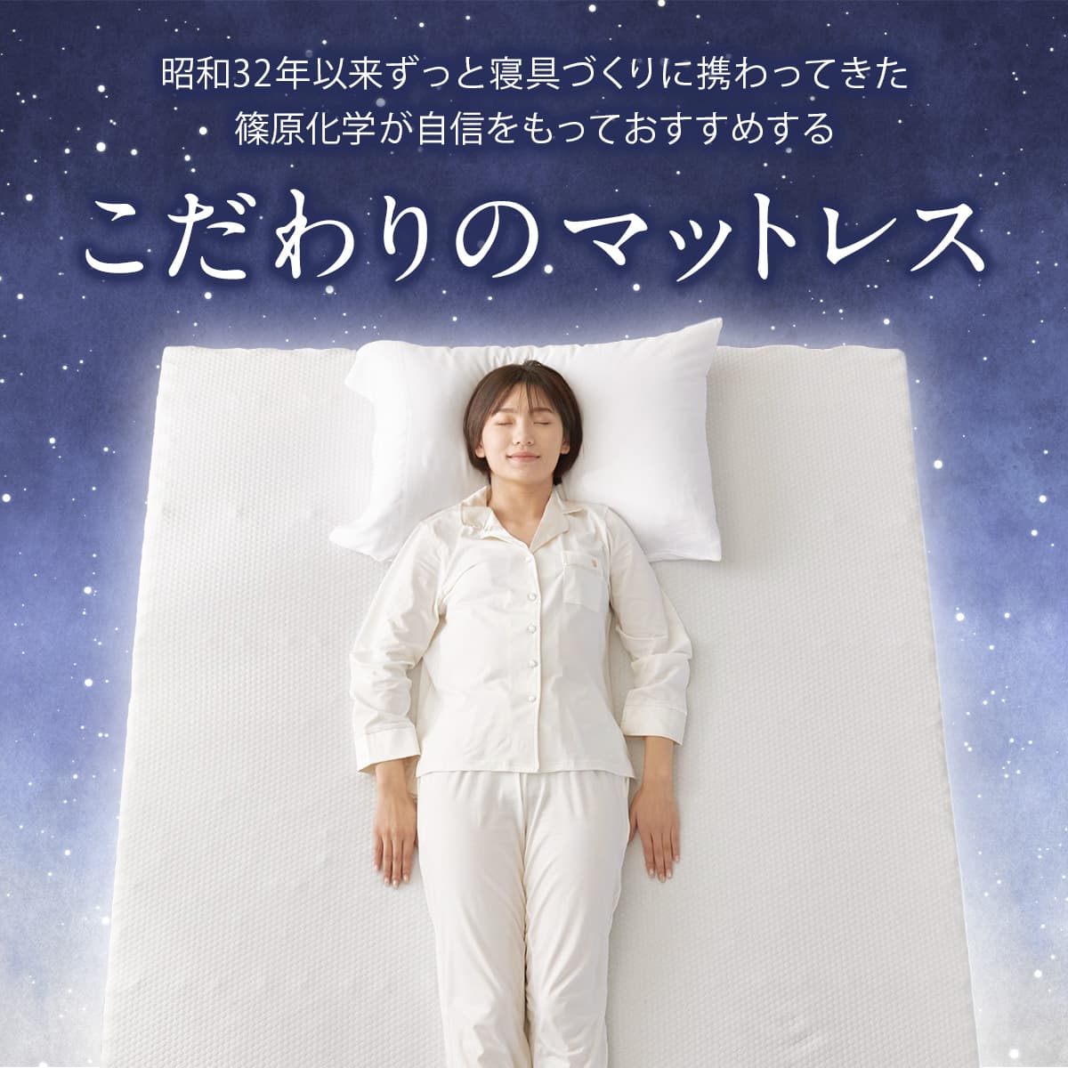 篠原化学 SD エコラテエリート 14cm　一枚ものマットレス エコラテ エリート 14cm一枚ものマットレス｜株式会社篠原化学