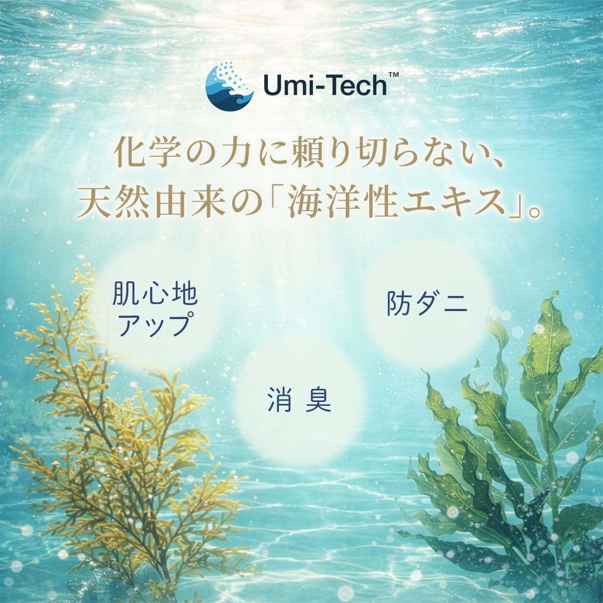 快眠タイムズ のびのび枕カバー（同色２枚組）