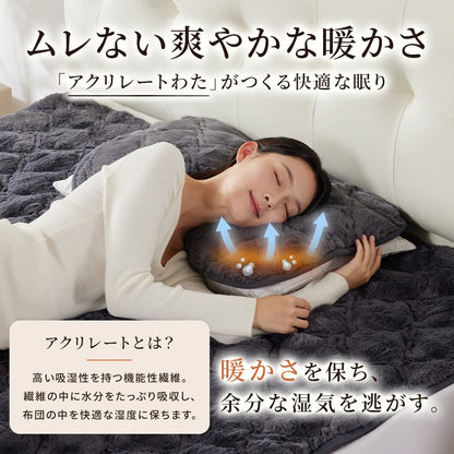 快眠タイムズ エアロゲル枕パッド（45×65cm・同色二枚組）