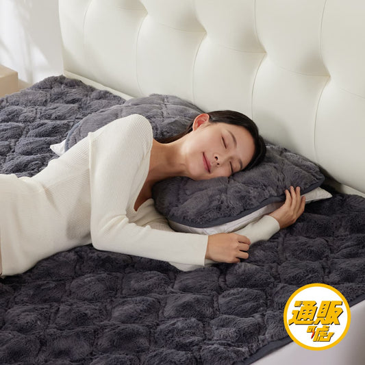 快眠タイムズ エアロゲル枕パッド（45×65cm・同色二枚組）